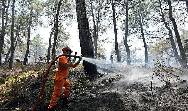 Hasat Mevsiminde Orman Yangını Alarmı Hasat Mevsiminde Orman Yangını Alarmı