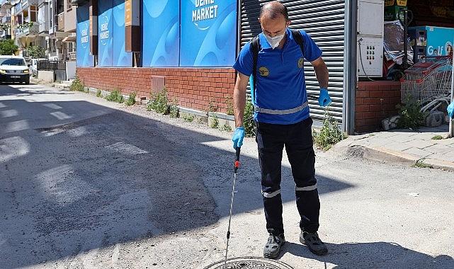 Buca'da 24 saat kesintisiz ilaçlama Buca'da 24 saat kesintisiz ilaçlama