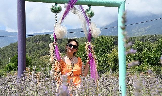 Kemer'de lavanta tanıtım etkinlikleri başlıyor Kemer'de lavanta tanıtım etkinlikleri başlıyor