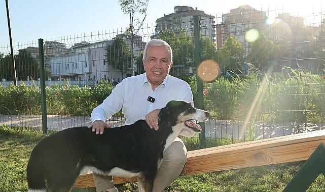 Nilüfer'de can dostlar yeni yuvalarına kavuştu Nilüfer'de can dostlar yeni yuvalarına kavuştu