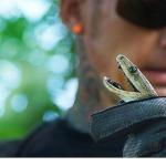 'Şehirdeki Yılanlar: Zehrin Ötesi', 11 Temmuz Cuma 20.00'de National Geographic WILD Ekranlarında!