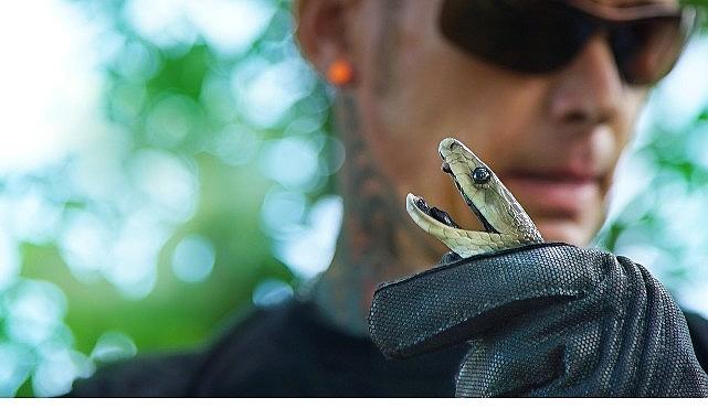 'Şehirdeki Yılanlar: Zehrin Ötesi', 11 Temmuz Cuma 20.00'de National Geographic WILD Ekranlarında! 'Şehirdeki Yılanlar: Zehrin Ötesi', 11 Temmuz Cuma 20.00'de National Geographic WILD Ekranlarında!