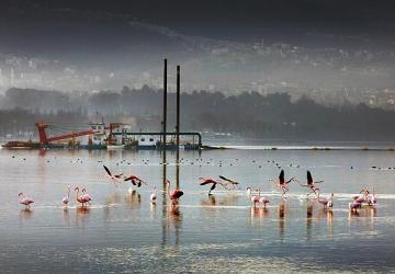 170 hektar alan dip çamurundan arındırıldı