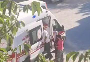 Köpeklerin saldırdığı yaşlı adam hastaneye kaldırıldı - Videolu Haber