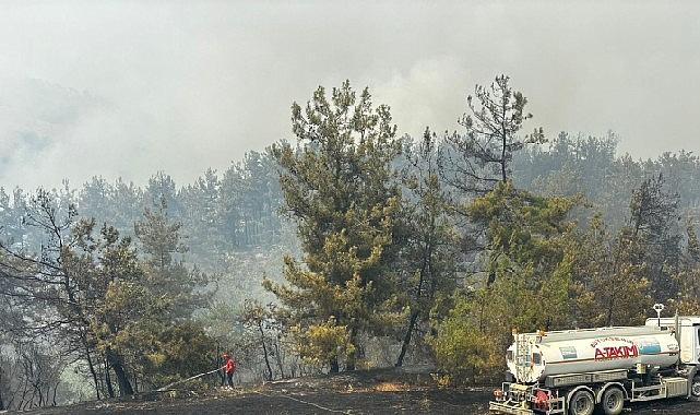 Büyükşehir'den Bursa'daki yangına tam destek