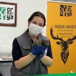 İtfaiyeden baykuş operasyonu