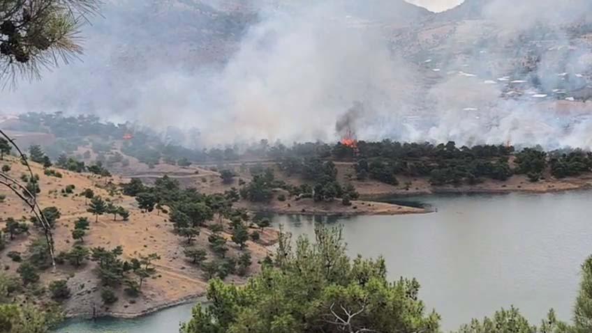 Adıyaman’da orman alanda korkutan yangın - Videolu Haber