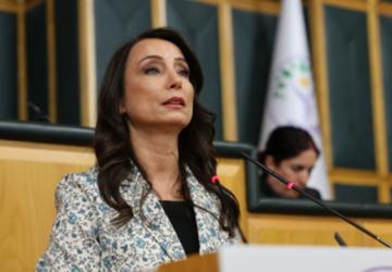 Hatimoğulları: 'Silah bırakma merasimi barışın eşiğidir, Meclis somut adımlar atmalıdır'