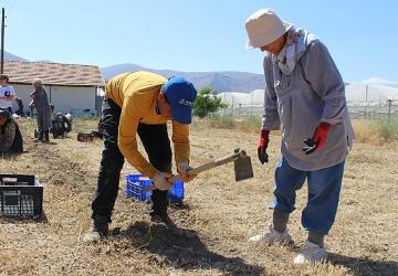 Büyükşehir'in tarım destekleri üreticiyi sevindirdi