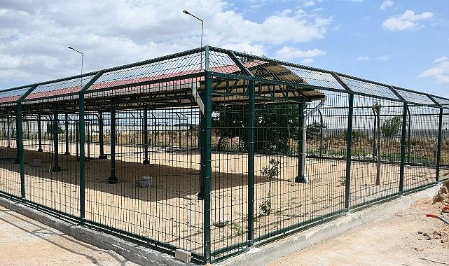 Can dostların yaşam alanları büyütülüyor Can dostların yaşam alanları büyütülüyor
