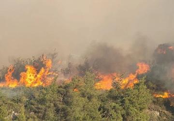 Komşudaki yangına çok sayıda araç ve ekiple müdahale