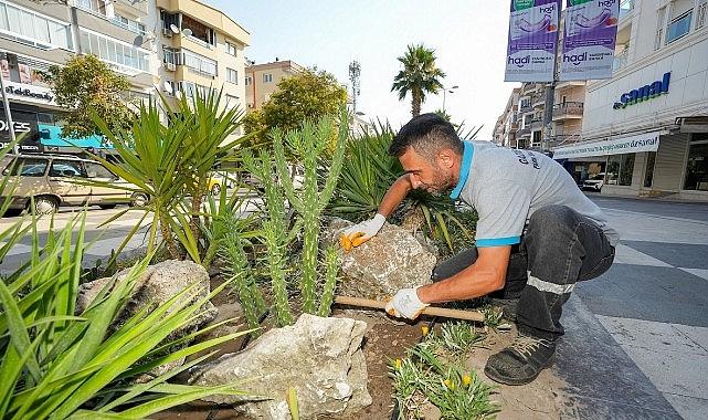 Gaziemir Belediyesi'nden kurakçıl peyzaj hamlesi Gaziemir Belediyesi'nden kurakçıl peyzaj hamlesi