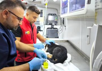 Konya’da Yürek Isıtan Kurtarma Anları