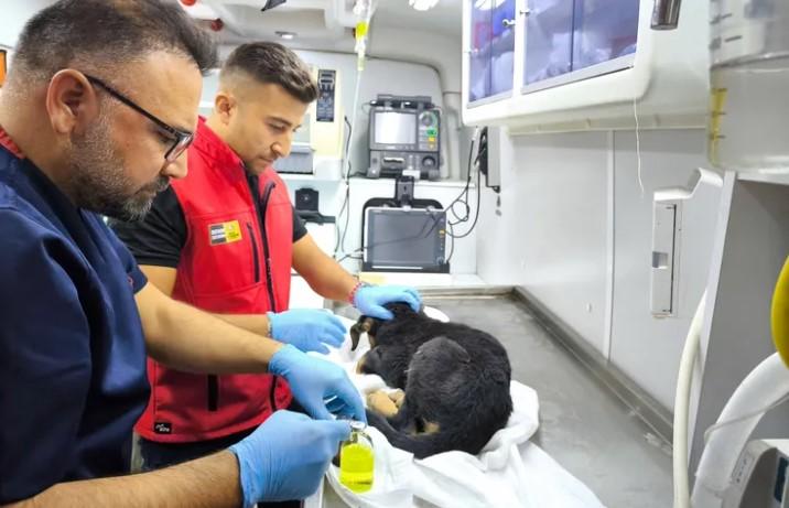 Konya’da Yürek Isıtan Kurtarma Anları