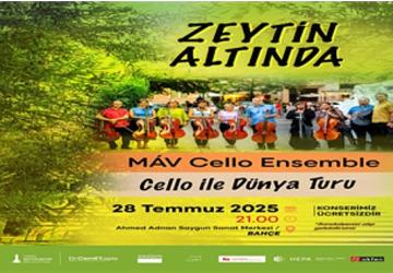Zeytin Altında konserleri MAV Cello Ensemble ile başlıyor