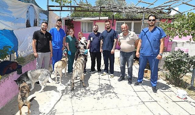 Üsküdar İle Menderes Can Dostlar İçin El Ele Üsküdar İle Menderes Can Dostlar İçin El Ele