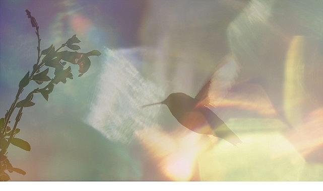 Yapı Kredi bomontiada TV+ ile Açık Havada Sinema'da bu hafta: “Every Little Thing"