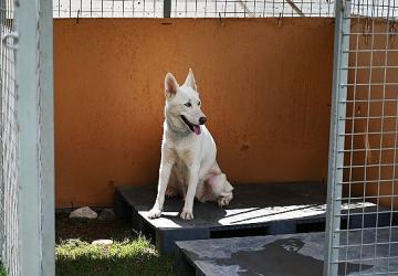 Kemer Belediyesi'nden “Can dostları" için istasyon