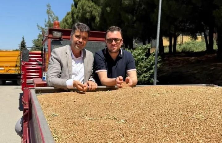 TMO’dan Rekor Buğday Alımı: Depolar Doldu