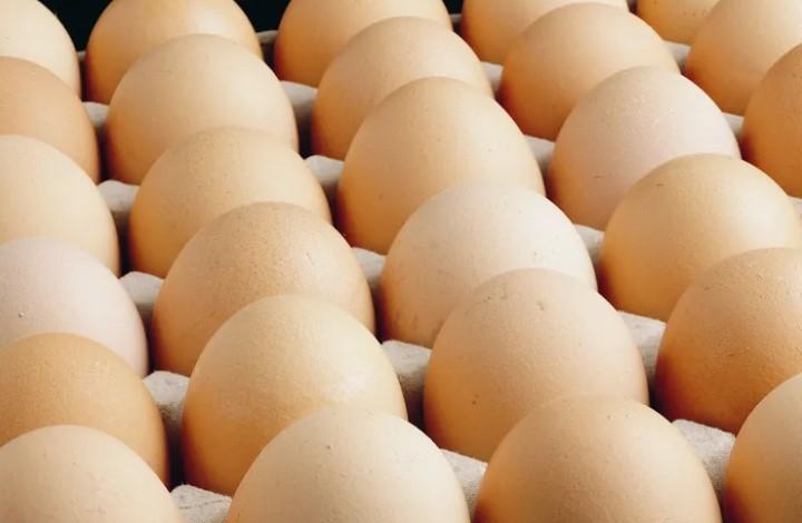 Yumurta Tebliği Değişti: A Sınıfı Yumurtalara Tüketim Tarihi Şartı Yumurta Tebliği Değişti: A Sınıfı Yumurtalara Tüketim Tarihi Şartı