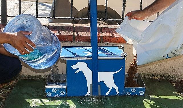 Yazın Sıcak Günlerinde Küçükçekmece Belediyesi'nden Sokak Hayvanlarına Can Suyu Çağrısı
