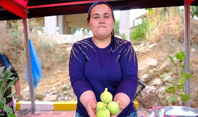 Menemen'de Bozalan İncir Festivali heyecanı yaşanacak Menemen'de Bozalan İncir Festivali heyecanı yaşanacak