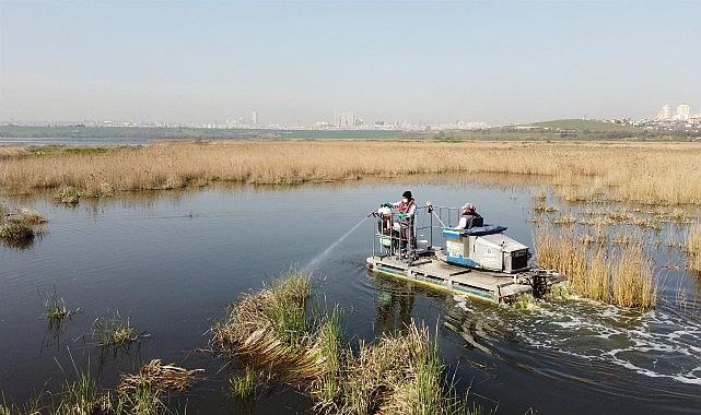 Esenyurt'ta Kemirgen Sorununa Karşı İBB'den Hızlı Müdahale