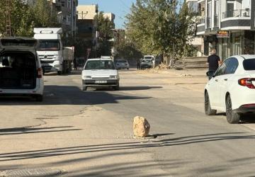 Siteler Mahallesi’nde yerinden çıkan rögar kapağı tehlike saçıyor: Vatandaşın çözümü şaşırttı - Videolu Haber