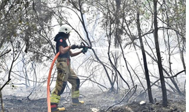İzmir İtfaiyesi Menderes'te alevlerle mücadele ediyor