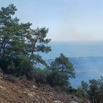 Kemer'de korkutan yangın