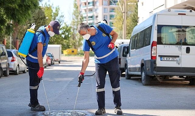 Buca'da ilaçlama atağı