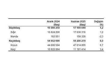 Hayvancılık İstatistikleri, Haziran 2025