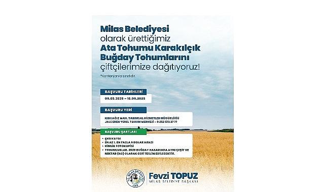 Milas Belediyesi'nden Üreticilere Karakılçık Buğday Tohumu Desteği Milas Belediyesi'nden Üreticilere Karakılçık Buğday Tohumu Desteği