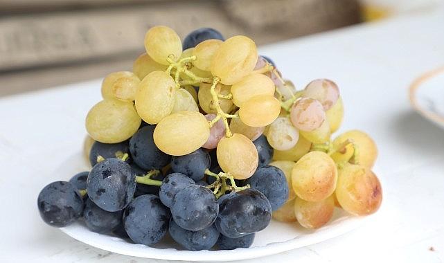 İnegöl Belediyesi'nden Çiftçiye Üzüm Hasadını Kolaylaştıran Destek