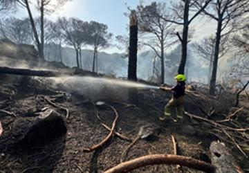 İzmir İtfaiyesi Bergama'da alevlerle mücadele ediyor