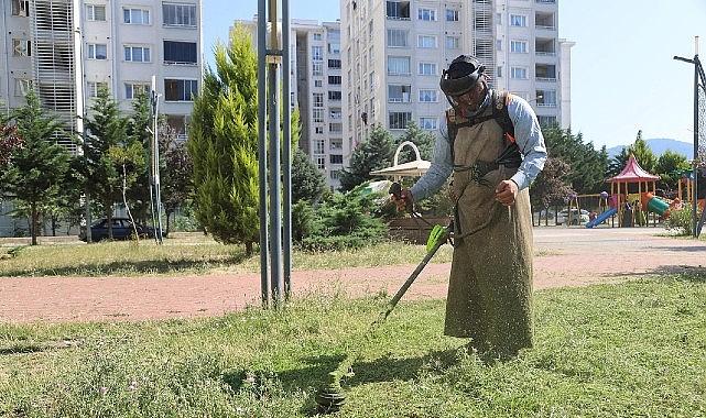 Canik'te Parklar Bakımlı ve Tertemiz Canik'te Parklar Bakımlı ve Tertemiz