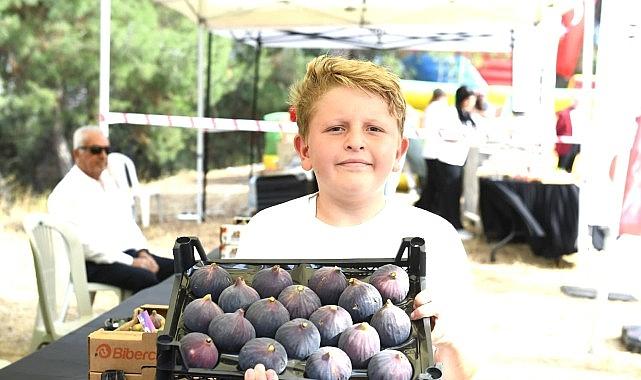 Osmangazi Belediyesi'nden dünyaca ünlü siyah incire festival