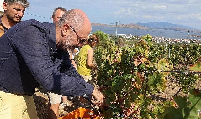 6–7 Eylül'de Bir Başkadır Avşa Etkinliği'nin Programı Açıklandı 6–7 Eylül'de Bir Başkadır Avşa Etkinliği'nin Programı Açıklandı