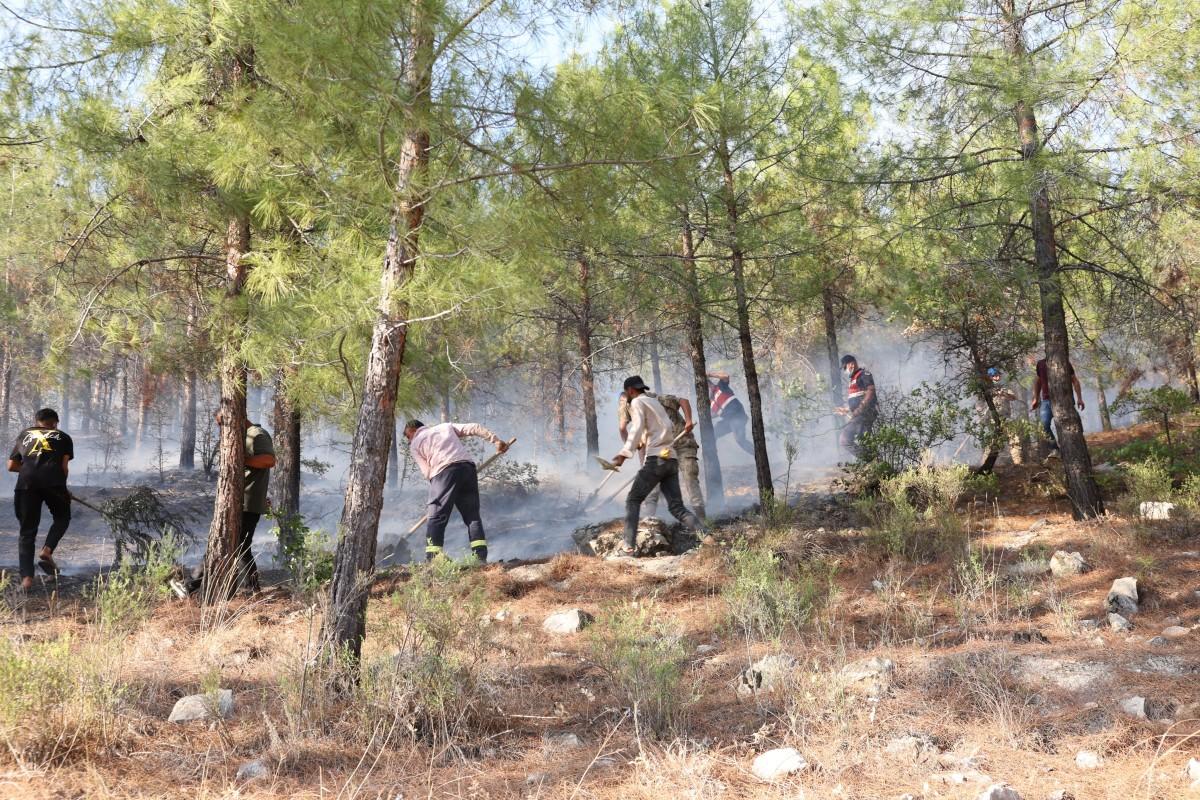 Besni ve Tut’ta geniş çaplı yangın: 200 hektar alan kül oldu, fıstık ve incir bahçeleri zarar gördü