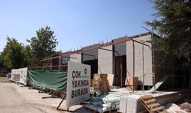 Çankaya, Çınarların Yeni Buluşma Noktası Olacak Çankaya, Çınarların Yeni Buluşma Noktası Olacak