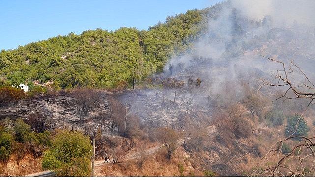 Başkan Vekili Özdemir yangın bölgesinde