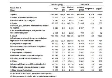Sektör Bilançoları, 2024