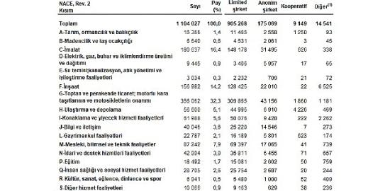 Sektör Bilançoları, 2024