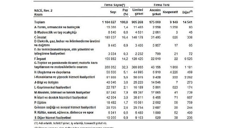Sektör Bilançoları, 2024