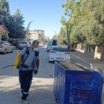 Adıyaman Belediyesi, ilaçlama çalışmaları için sahada
