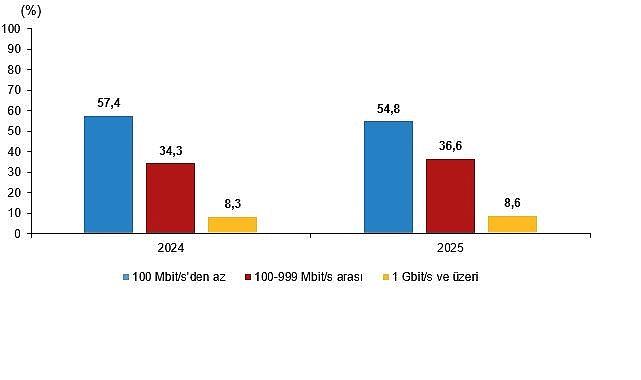 Girişimlerde Bilişim Teknolojileri Kullanım Araştırması, 2025