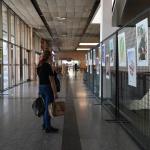 Terminalde Dünya Barış Günü Sergisi Açıldı