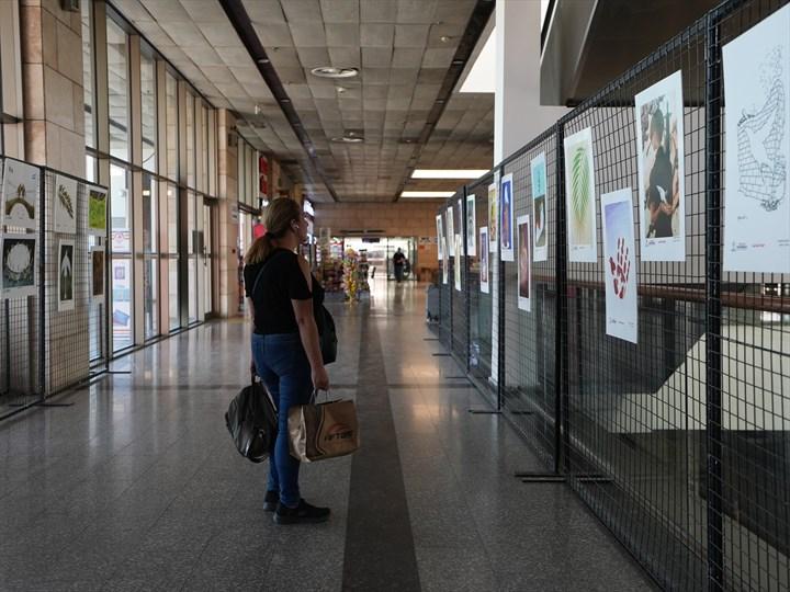 Terminalde Dünya Barış Günü Sergisi Açıldı Terminalde Dünya Barış Günü Sergisi Açıldı