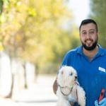 İzmir'de el konulan 20 cins köpek Işıkkent Köpek Bakımevi'nde