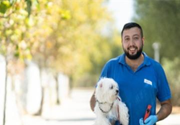 İzmir'de el konulan 20 cins köpek Işıkkent Köpek Bakımevi'nde